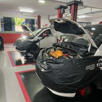 WhatsApp Image 2025-03-11 at 14.56.44