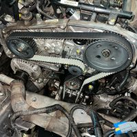 WhatsApp Image 2025-03-11 at 14.56.45(1)